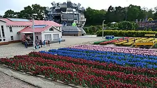 Tulipes à Hillegom.