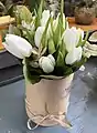 bouquet de tulipes blanches