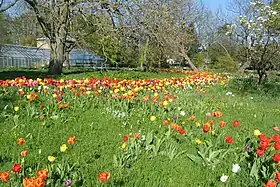 Image illustrative de l’article Jardin botanique de Lund