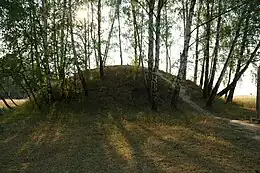 Tumulus de la culture de Przeworsk près de Przeworsk (Pologne)