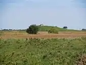 Tumulus de la Lande du Semis