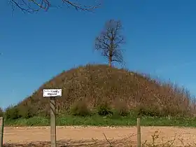 Image illustrative de l’article Tumulus de Glimes