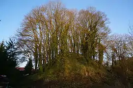 Tumulus fouillé et visité par Napoléon III.