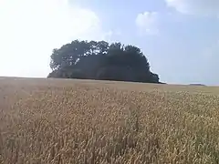 Tumulus d'Othée (M) et sa zone de protection (ZP)