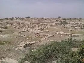 Vue d'un site désertique avec des murs ruinés