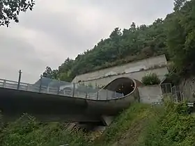 Tunnel du Petit Brion.