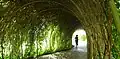 Tunnels végétaux