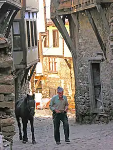 Vue d'un vieil homme marchant dans une rue avec un cheval