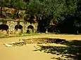 Excavation d'une citerne interprétée à tort comme une piscine baptismale.