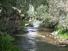 Photographie en couleurs, représentant un cours d'eau.