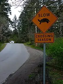 Un panneau orange, en forme de losange, sur la droite de la route indiquant en anglais ralentir : saison de traversée avec une image de tortue.
