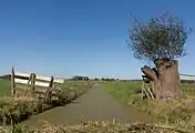 Le fossé dans le polder entre Ameide et Meerkerk