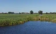 Le fossé dans le polder entre Ameide et Meerkerk