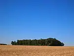 Tumulus du Vieux Breuil