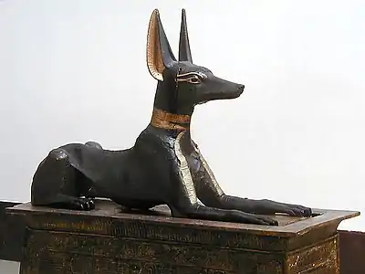  Anubis le chacal