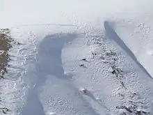 Plan large sur une montagne enneigée avec deux Panthères des neiges traversant la neige