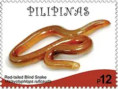 Description de l'image Typhlops ruficaudus 2017 stamp of the Philippines.jpg.