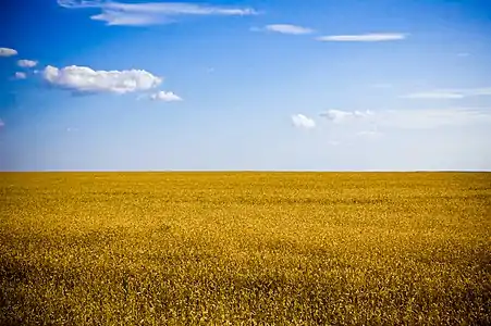 Exemple de paysage ukrainien, disposé de la même manière que le drapeau.
