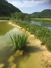 Il y a environ 40 000 ans, des humains s'établissent à Hohle Fels.