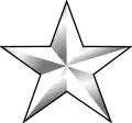 One star officer