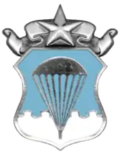 Air Force Master Parachutist Badge