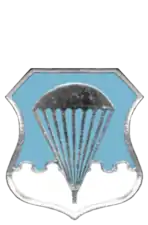 Air Force Basic Parachutist Badge