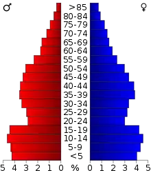 Schéma représentant la population du comté, par tranche d'âge. En rouge, à gauche, les femmes, en bleu à droite, les hommes.