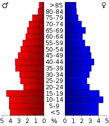 Schéma représentant la population du comté, par tranche d'âge. En rouge, à gauche, les femmes, en bleu à droite, les hommes.