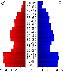 Schéma représentant la population du comté, par tranche d'âge. En rouge, à gauche, les femmes, en bleu à droite, les hommes.