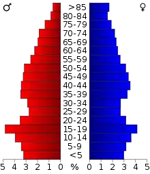 Schéma représentant la population du comté, par tranche d'âge. En rouge, à gauche, les femmes, en bleu à droite, les hommes.