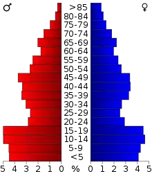 Schéma représentant la population du comté, par tranche d'âge. En rouge, à gauche, les femmes, en bleu à droite, les hommes.