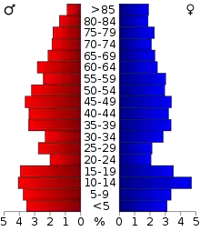 Schéma représentant la population du comté, par tranche d'âge. En rouge, à gauche, les femmes, en bleu à droite, les hommes.