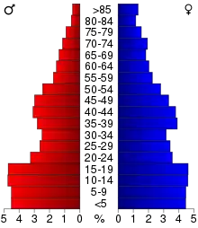 Schéma représentant la population du comté, par tranche d'âge. En rouge, à gauche, les femmes, en bleu à droite, les hommes.