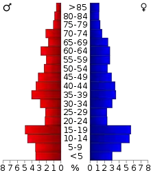 Schéma représentant la population du comté, par tranche d'âge. En rouge, à gauche, les femmes, en bleu à droite, les hommes.