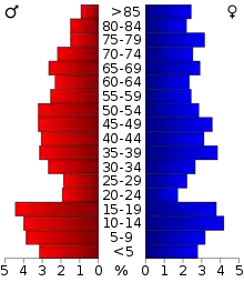 Schéma représentant la population du comté, par tranche d'âge. En rouge, à gauche, les femmes, en bleu à droite, les hommes.