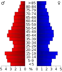 Schéma représentant la population du comté, par tranche d'âge. En rouge, à gauche, les femmes, en bleu à droite, les hommes.