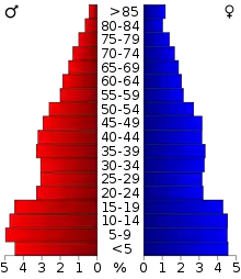 Schéma représentant la population du comté, par tranche d'âge. En rouge, à gauche, les femmes, en bleu à droite, les hommes.