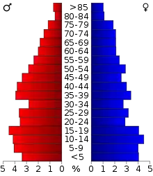 Schéma représentant la population du comté, par tranche d'âge. En rouge, à gauche, les femmes, en bleu à droite, les hommes.