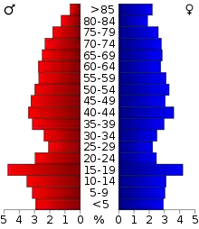 Schéma représentant la population du comté, par tranche d'âge. En rouge, à gauche, les femmes, en bleu à droite, les hommes.