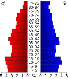 Schéma représentant la population du comté, par tranche d'âge. En rouge, à gauche, les femmes, en bleu à droite, les hommes.