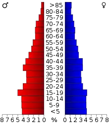 Schéma représentant la population du comté, par tranche d'âge. En rouge, à gauche, les femmes, en bleu à droite, les hommes.