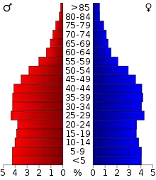 Schéma représentant la population du comté, par tranche d'âge. En rouge, à gauche, les femmes, en bleu à droite, les hommes.