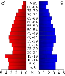 Schéma représentant la population du comté, par tranche d'âge. En rouge, à gauche, les femmes, en bleu à droite, les hommes.