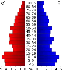 Schéma représentant la population du comté, par tranche d'âge. En rouge, à gauche, les femmes, en bleu à droite, les hommes.