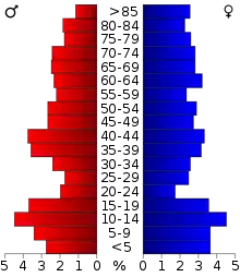 Schéma représentant la population du comté, par tranche d'âge. En rouge, à gauche, les femmes, en bleu à droite, les hommes.