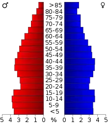 Schéma représentant la population du comté, par tranche d'âge. En rouge, à gauche, les femmes, en bleu à droite, les hommes.