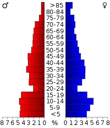 Schéma représentant la population du comté, par tranche d'âge. En rouge, à gauche, les femmes, en bleu à droite, les hommes.