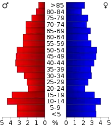 Schéma représentant la population du comté, par tranche d'âge. En rouge, à gauche, les femmes, en bleu à droite, les hommes.