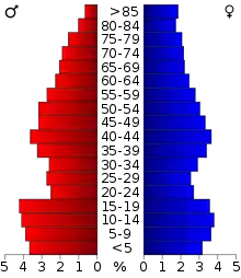 Schéma représentant la population du comté, par tranche d'âge. En rouge, à gauche, les femmes, en bleu à droite, les hommes.