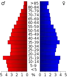 Schéma représentant la population du comté, par tranche d'âge. En rouge, à gauche, les femmes, en bleu à droite, les hommes.